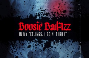 Boosie Badazz – In My Feelings (Goin Thru It) (Album Stream)