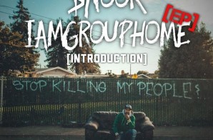 $nook – IAmGroupHome (Introduction) (EP)