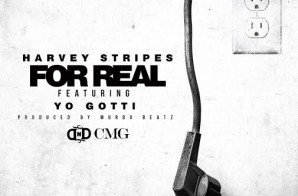 Harvey Stripes ft. Yo Gotti – For Real