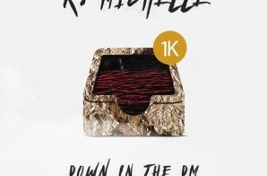 K. Michelle – Down In The DM (Remix)