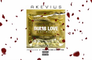 Akevius – Dumb Love Ft. Plies