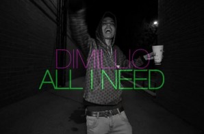Dimillio – All I Need (Video)
