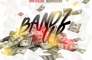 Wild Card – Bandz Up