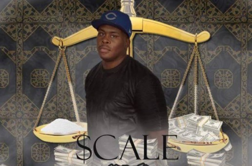 Shake-A-Vel – Scale