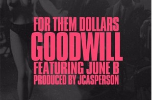 Goodwill Hunter – For Them Dollars