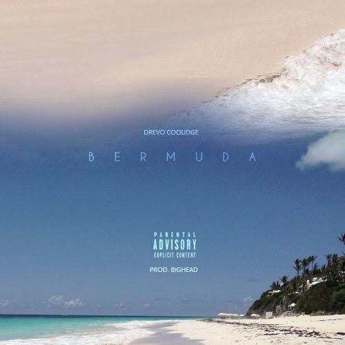 db Drevo Coolidge - Bermuda  