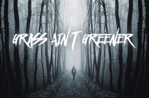 Chris Brown – Grass Ain’t Greener