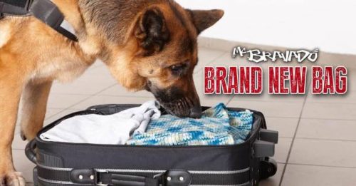 unnamed1-500x261 MC Bravado - Brand New Bag  
