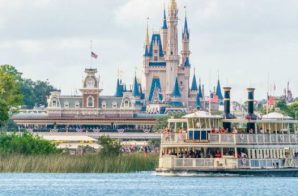 A Toddler Was Dragged Into Seven Seas Lagoon By An Alligator Last Night At A Orlando Disney Resort