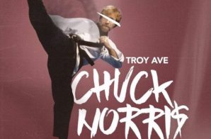 Troy Ave – Chuck Norris (Hoes & Gangstas)