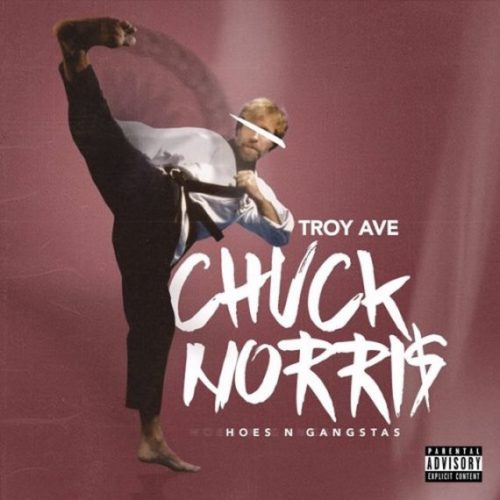 troy-570x570-500x500 Troy Ave - Chuck Norris (Hoes & Gangstas)  