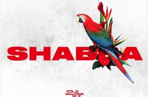 WIZKID – Shabba Ft. Chris Brown, Trey Songz & French Montana