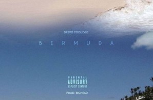 Drevo Coolidge – Bermuda (Video)