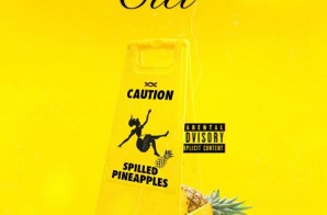 Citi – Spilled Pineapples (Video Trailer)