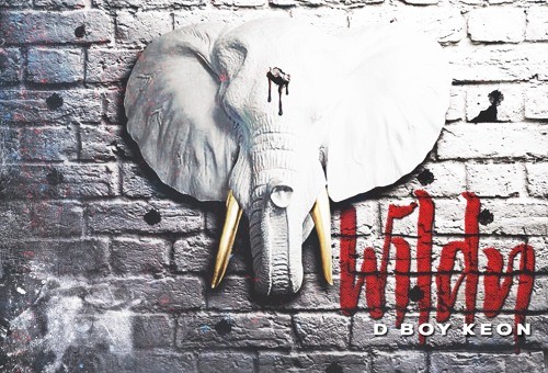 D_Boy Keon – Wild’n