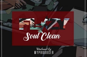 Flizy – Soul Clean