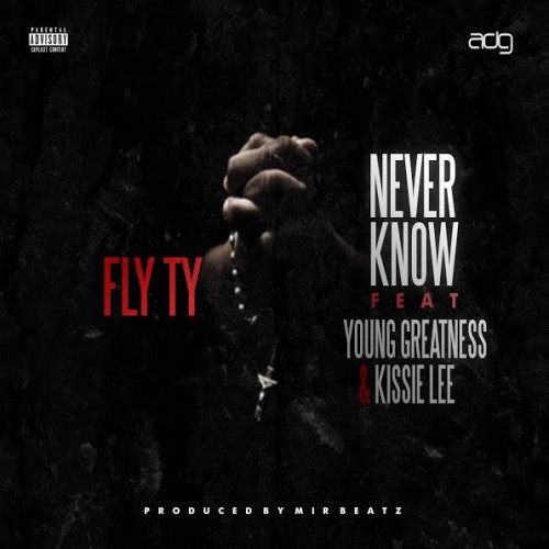 unnamed-2-1-500x500 Fly Ty x Young Greatness x Kissie Lee - Never Know  