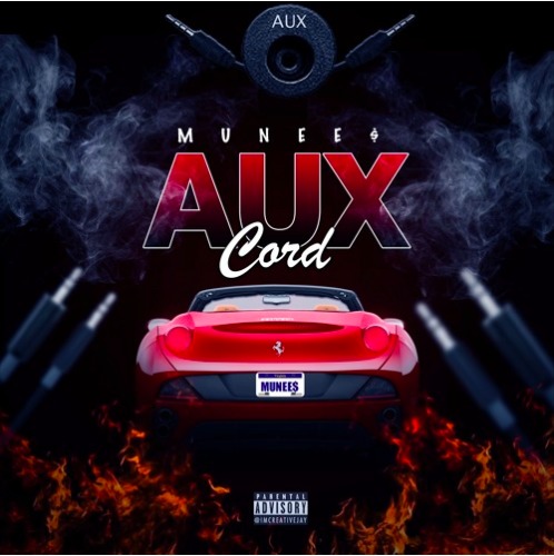 Screen-Shot-2016-09-28-at-3.25.10-PM-498x500 Munee - Aux Cord  
