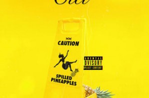 pineappleCITI – Pepsi (Remix)