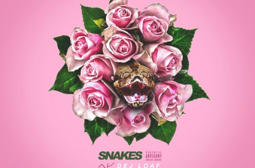 DeJ Loaf – Snakes