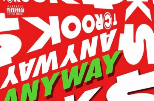 Tcrook$ – Anyway