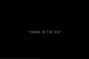 Ethan Spalding – Panda In The Air Ft. Paul McKinley (Video)