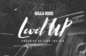 Bigga Hood – Level Up