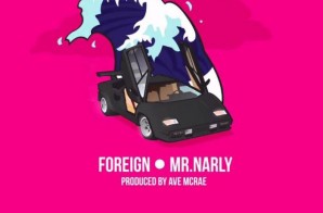 Mr. Narly – Foreign Video