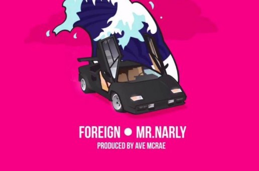 Mr. Narly – Foreign Video