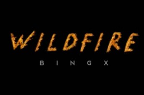 Bingx – Wildfire