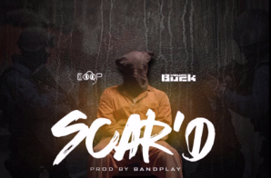 Young Buck – SCAR’D