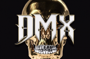 DMX x Swizz Beatz – Bane Iz Back