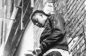 Steezy – Look At Me Now (Video)