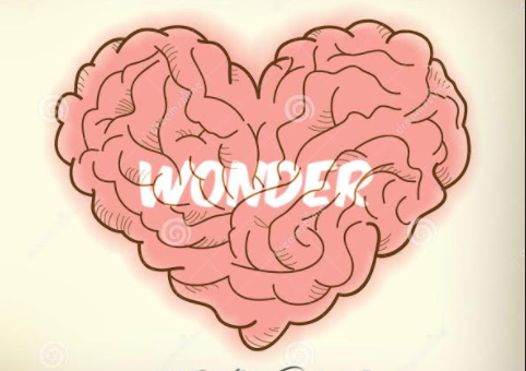 Black Mag – Wonder