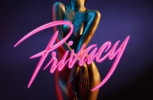 Chris Brown – Privacy
