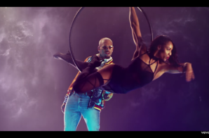 Chris Brown – Privacy (Video)