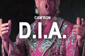 Cam’ron – D.I.A.