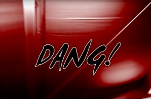 The ANThem – DANG! (Video)