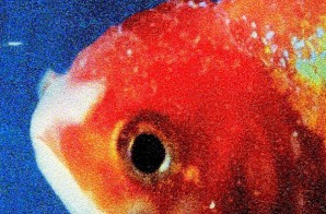 Vince Staples Releases Tracklist for ‘Big Fish Theory’