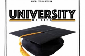 Chris Webby – University of Life (Feat. Madi Wolf)