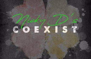 Nicky D’s – Coexist (Video)