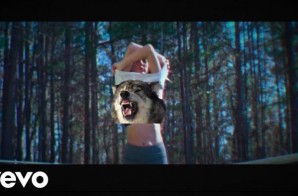 Wolfy The Beast – Workout (Video)