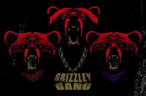 Tee Grizzly – Grizzley Gang