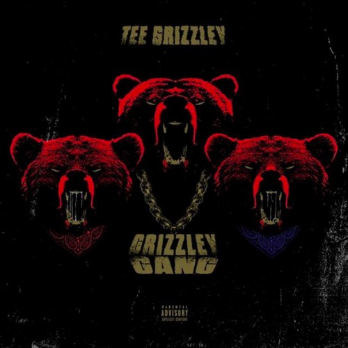 tg-500x500 Tee Grizzly - Grizzley Gang  