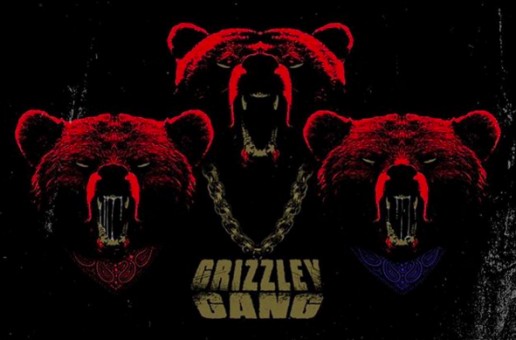 Tee Grizzly – Grizzley Gang