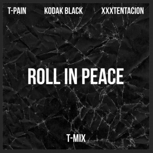 roll-in-peace-tmix-750-750-1516677414-500x500 T-Pain Destroys Kodak Black + XXXTentacion's "Roll In Peace"for His Latest T-MIX  