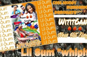 WititGanG – Lil’Sum (Whip It) (Video)