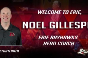 Birds Flyin’ High: Noel Gillespie Named The Erie BayHawks New Head Coach