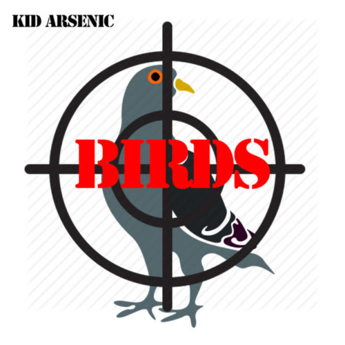 KidArsenic_Birds_CoverArt-500x500 Kid Arsenic - Birds  