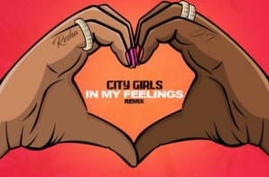 City Girls – In My Feelings (Remix)